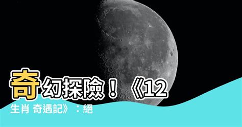 筆劃查字 12生肖電影